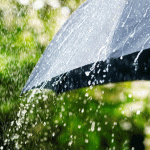 දිවයිනේ ප්‍රදේශ රැසකට අදත් වැසි