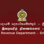 අදායම් වාර්තා භාරදීමට අදාළ PIN අංකයේ කාලය දීර්ඝ කරයි